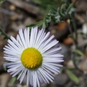 Meet your Posher, Patty